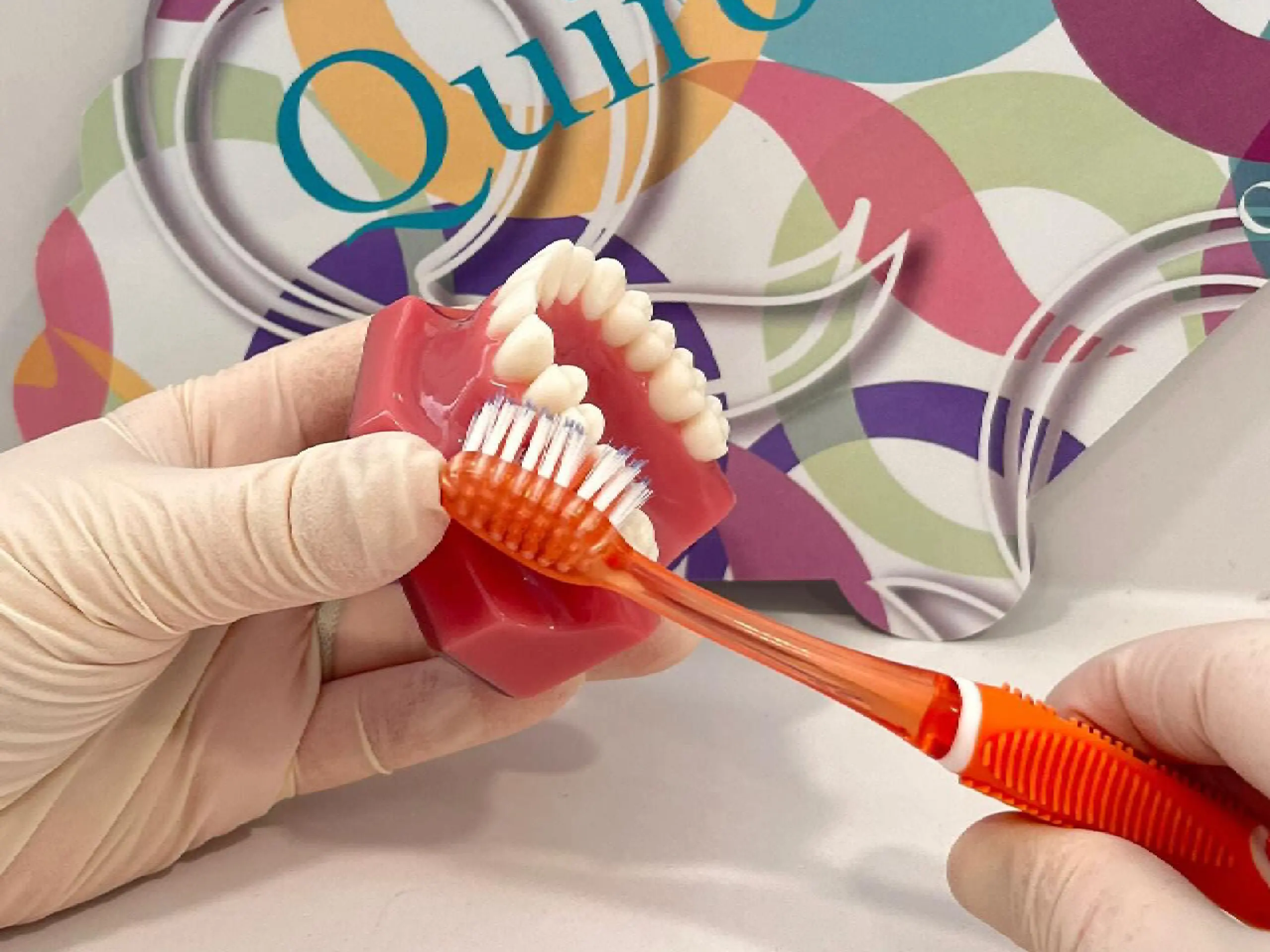 Manos enguantadas cepillando los dientes de un modelo de mandíbula de demostración con un cepillo de dientes naranja.